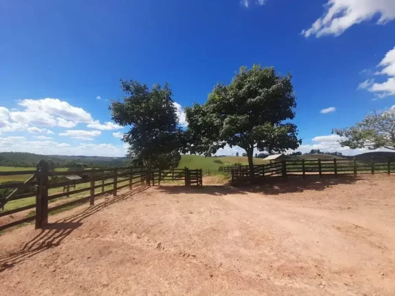 Imagem Fazenda à venda em Ibertioga, ZONA RURAL, 148ha