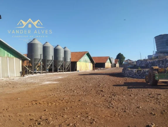 Imagem SITIO COMERCIAL em MARECHAL CÂNDIDO RONDON - PR, Zona rural