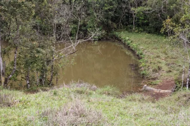 Imagem Fazenda à venda de 118,75 hectares em Embu Guaçu!!! Oportunidade incrível!