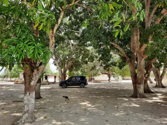 Imagem Granja para Venda em Macaíba, Centro, 2 dormitórios, 3 banheiros, 9 vagas