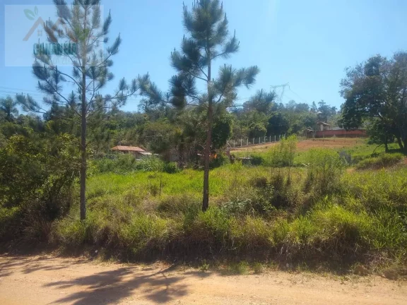 Imagem TERRENO CANANÉIA