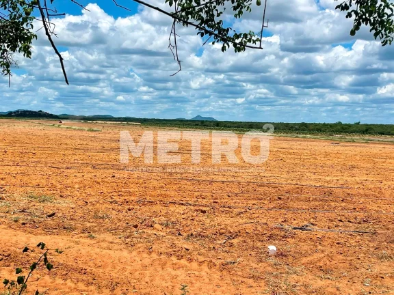 Imagem Fazenda produzindo à venda com 210 hectares, margem do Rio São Francisco- PE
