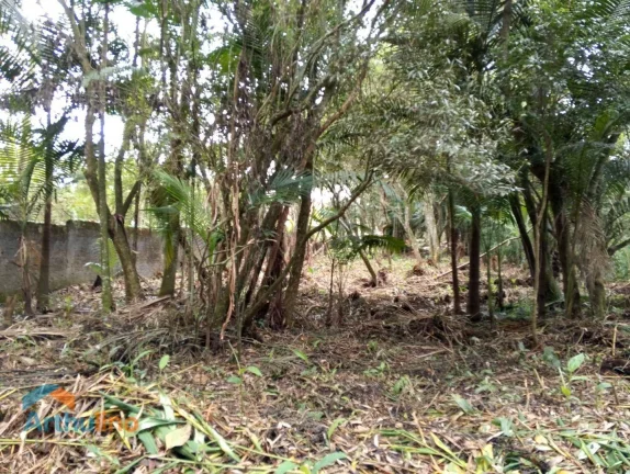 Imagem Área à venda, 4000 m² por R$ 1.200.000 - Região Central - Itapecerica da Serra/SP
