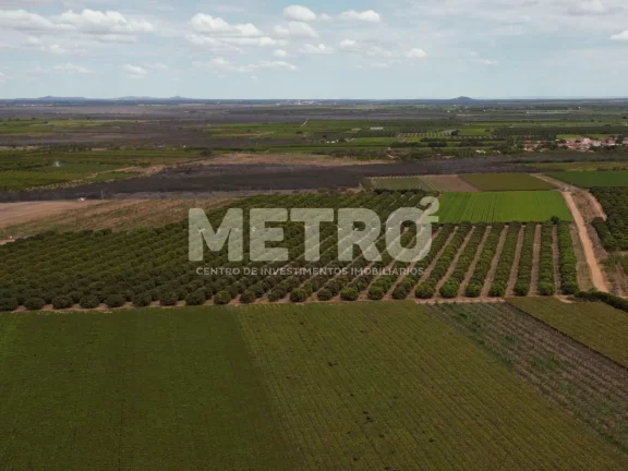 Imagem Lote de 15 hectares, escriturado e quitado na CODEVASF, PETROLINA - PE