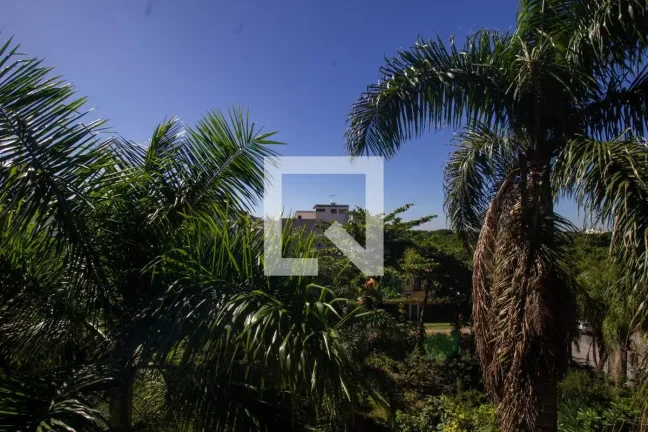Imagem Apartamento à Venda - Recreio, 5 Quartos, 450 m2