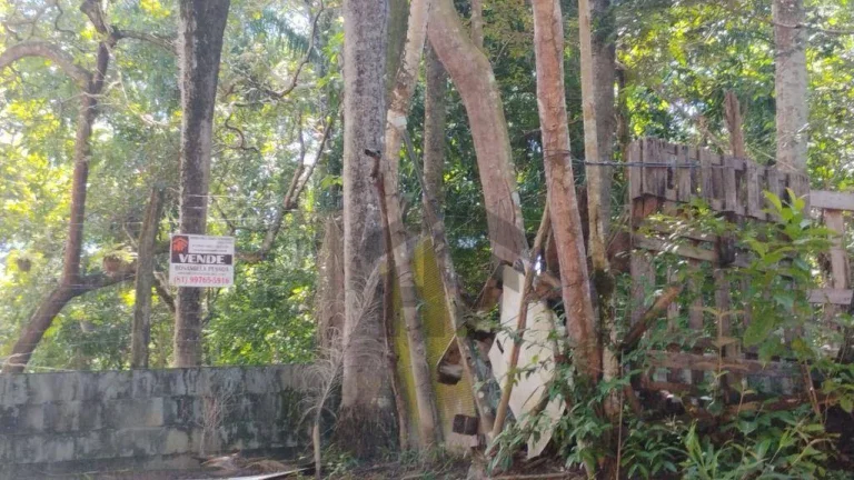 Imagem Terreno de 10.700m² à venda, localizado em Enseada dos Corais, Cabo de Santo Agostinho - Pernambuco.