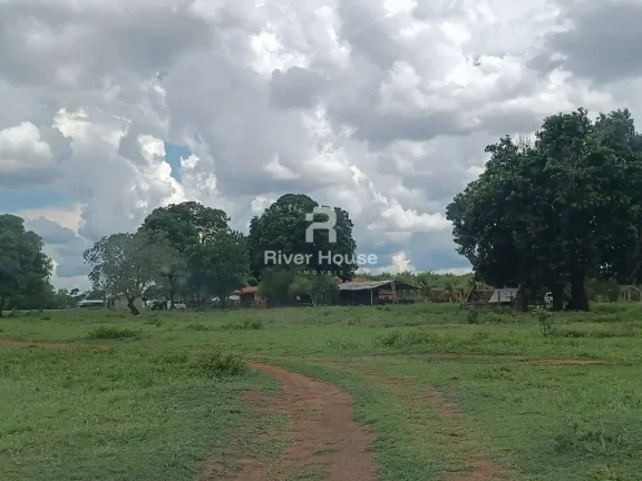Fazenda a venda com 890 hectares Dupla aptidão na Região de Nossa senhora do Livramento Livramento MT