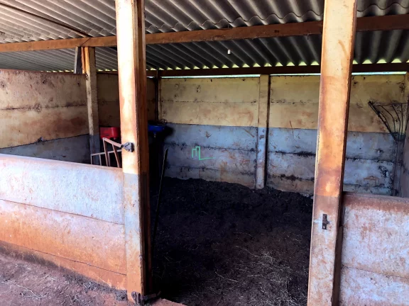 Imagem PROPRIEDADE RURAL DE ALTO PADRÃO COM EXCELENTE LOCALIZAÇÃO