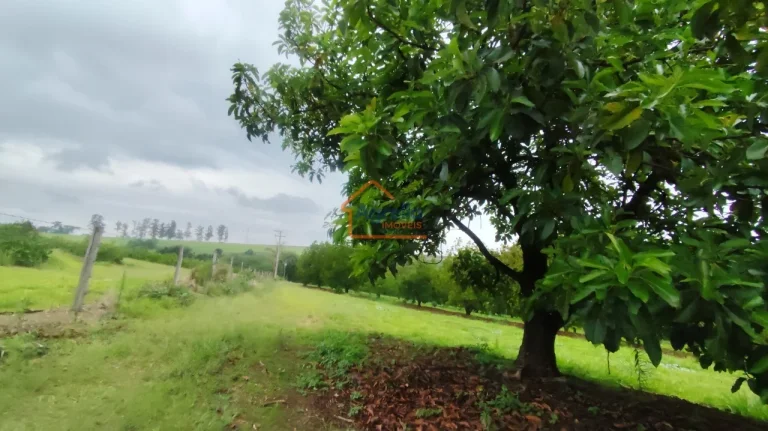 Imagem Sítio à venda no bairro PITEIRAS - Mogi Mirim/SP