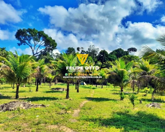 Imagem SITIO RESIDENCIAL em SANTA CRUZ CABRÁLIA - BA, yaya