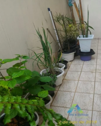 Imagem Apartamento Residencial à venda, Vila Moraes, São Paulo - .