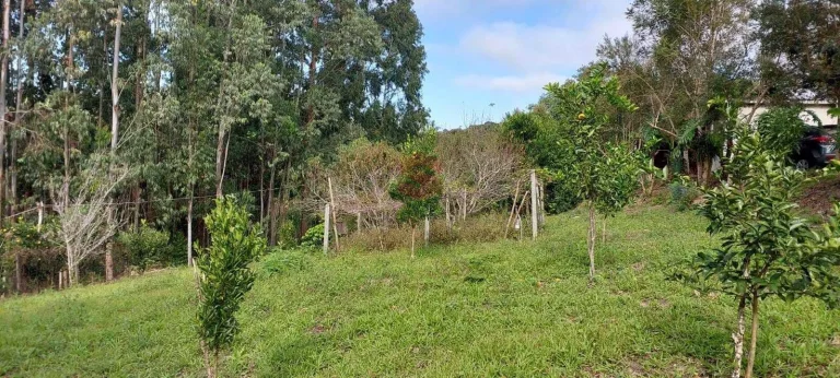 Imagem Chácara à venda em Campo Largo/PR