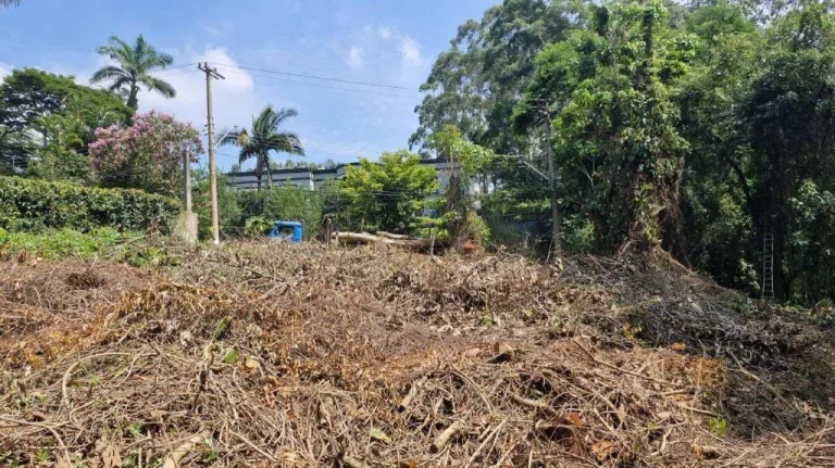 Imagem Cond. Jd Algarve - Lote 1.403m² (Rua Jambo) AMBIENTAL 100% OK!