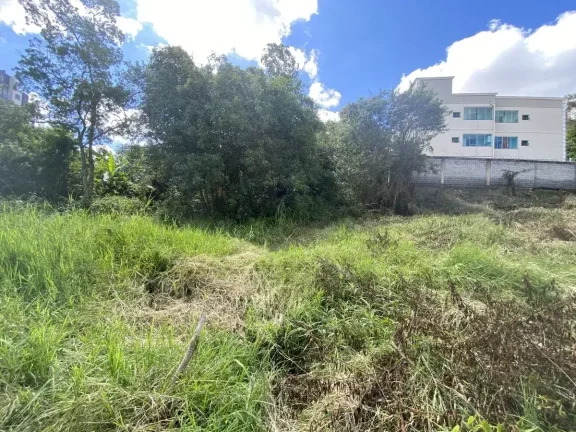 Imagem Excelente Oportunidade! Lote de 1.200 m2 Próximo ao Centro