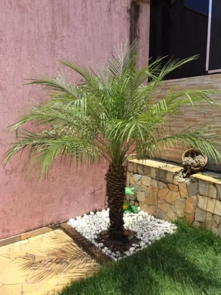 Imagem Chácara com 4 dormitórios à venda, 1050 m² por R$ 900.000,00 - Varinhas - Mogi das Cruzes/SP