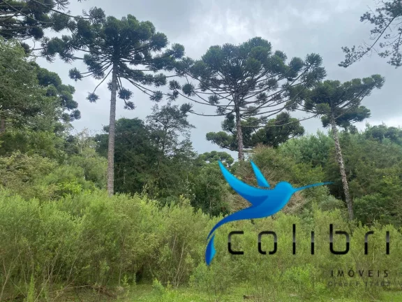 Imagem Chácara com 4 Quartos à Venda, 72.600 m² em Pinheiro Ocado - Agudos Do Sul
