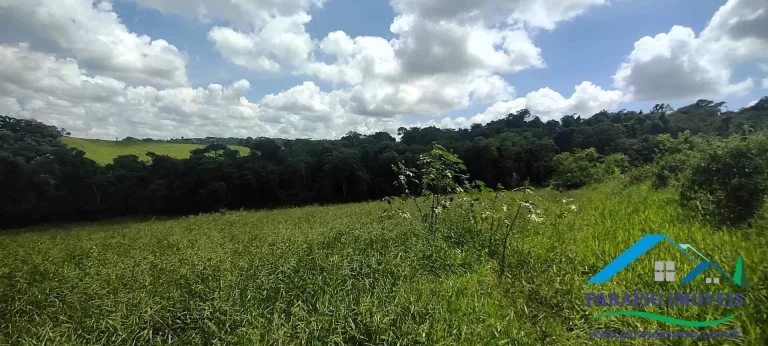 Imagem Terreno em Brazópolis, Água, Energia e Reserva Vegetação Nativa