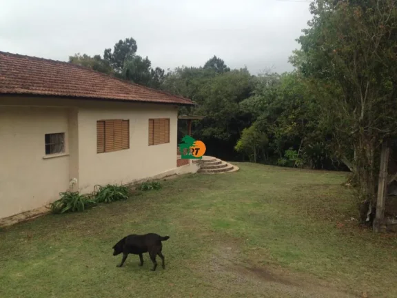 Imagem Terreno para Venda em São Roque, Alto Da Serra