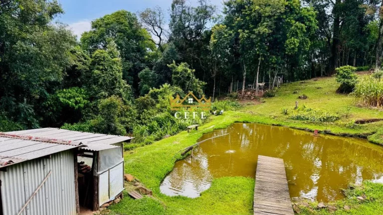Imagem Chácara - Sítio com 2 Dormitorio(s) localizado(a) no bairro Padre Eterno Ilges em Santa Maria do Herval / RIO GRANDE DO SUL Ref.:1607