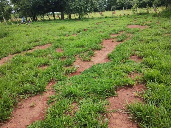 Imagem Terreno à venda, 2600 m² por R$ 179.900,00 - Bairro dos Mirandas - Tatuí/SP