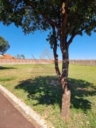 Imagem Terreno Condomínio - Cravinhos - Jardim Alto das Acácias