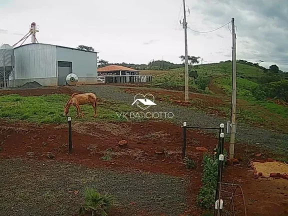 Imagem Sítio para Venda em Mandaguari / PR