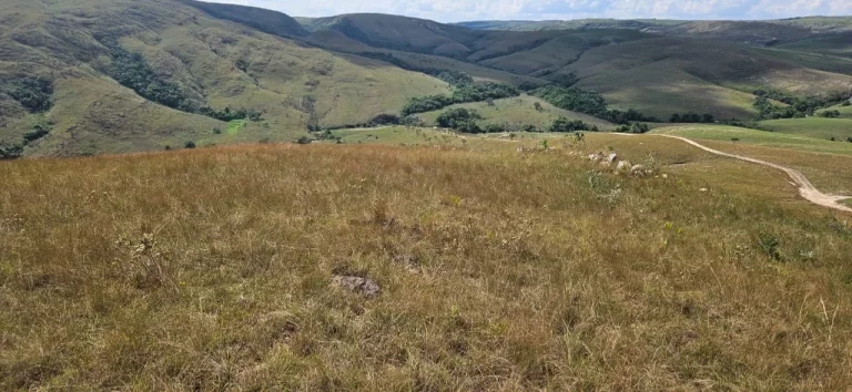 Imagem FAZENDA À VENDA EM DELFINÓPOLIS - MG COM 430 ALQUEIRES