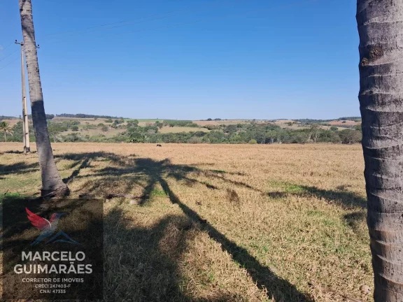 Imagem Propriedade Rural em Guaimbê, SP - 12 Alqueires Sitio Valenciano