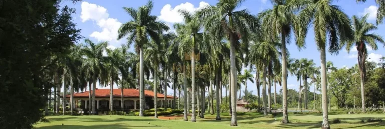 Imagem Terreno em Condominio em Araçoiaba da Serra