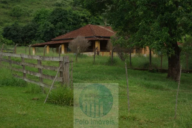 Imagem Fazenda em Cajuru 65,2254 alqueires com 35 alqueires em cana - a 78 km de Ribeirão Preto - SP sentido Casa Branca