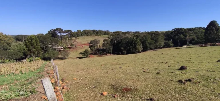 Imagem Chácara à venda em Cascavel - Área Rural com Energia Elétrica e Rio