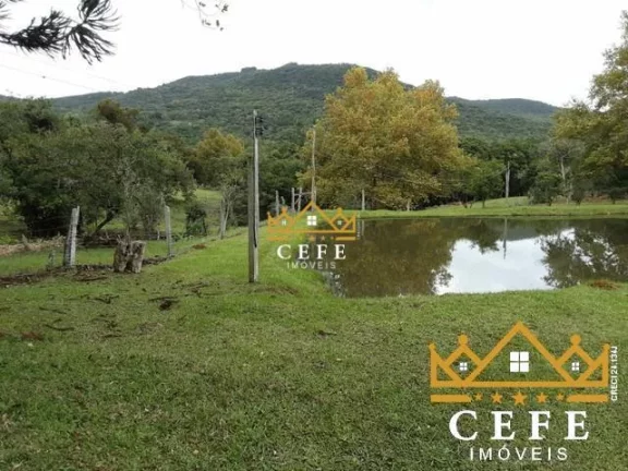 Imagem Chácara - Sítio com 3 Dormitorio(s) localizado(a) no bairro Boa Vista em São Francisco de Paula / RIO GRANDE DO SUL Ref.:1417