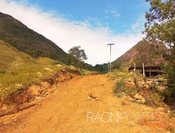 Imagem Fazenda à Venda, 70.000 m² em Sodrelândia - Trajano De Morais