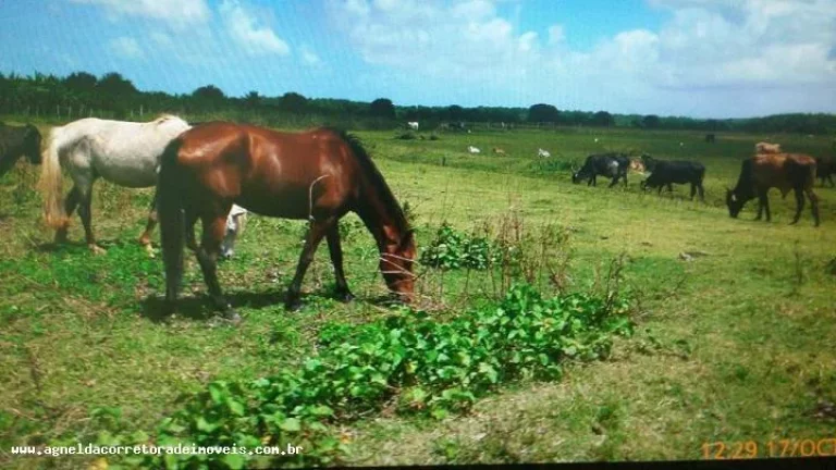 Imagem Fazenda para Venda em Extremoz, capim -extremoz, 3 dormitórios, 1 suíte, 2 banheiros, 6 vagas