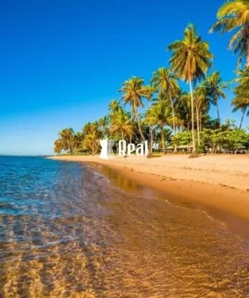 Imagem Lote Plano a 150m da Praia