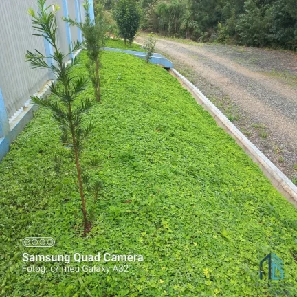 Imagem (PERMUTA) Chácara a venda com casa e Barracão, salão de festas na cidade Piên PR