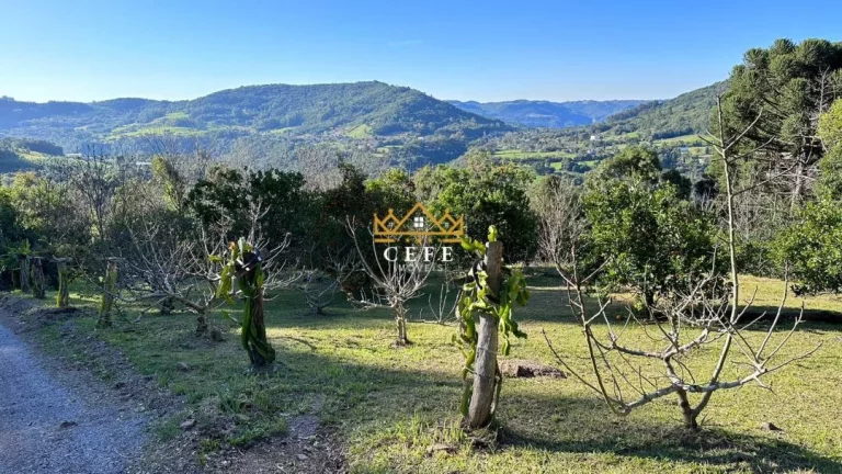 Imagem Chácara - Sítio com 4 Dormitorio(s) localizado(a) no bairro Linha Imperial em Nova Petrópolis / RIO GRANDE DO SUL Ref.:1506