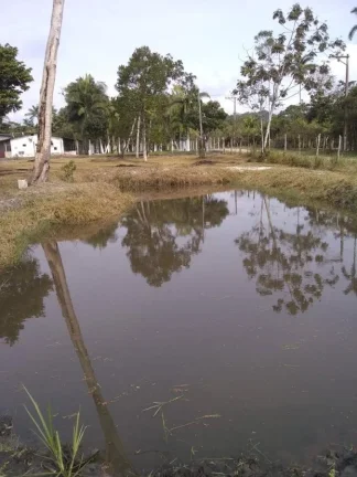 Imagem Chácara para Venda em Itanhaém, Gaivota (Interior), 2 dormitórios, 1 banheiro, 15 vagas