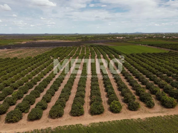 Imagem Lote de 15 hectares, escriturado e quitado na CODEVASF, PETROLINA - PE