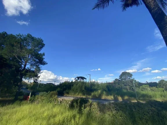 Imagem Terreno à Venda com 15.961,90 m2 na Colônia Rodrigo Silva