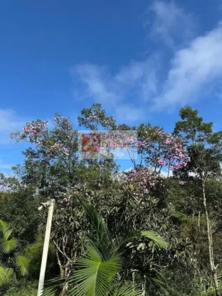 Imagem Sítio para Venda em Santo André, Jardim Joaquim Eugênio de Lima, 4 dormitórios, 3 banheiros, 15 vagas