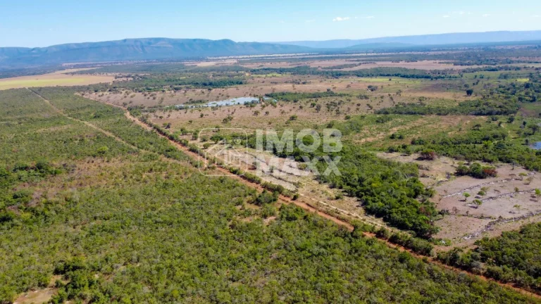 Imagem Fazenda a venda em Formosa: 281 hectares, água perene, dupla aptidão - escriturada e registrada.