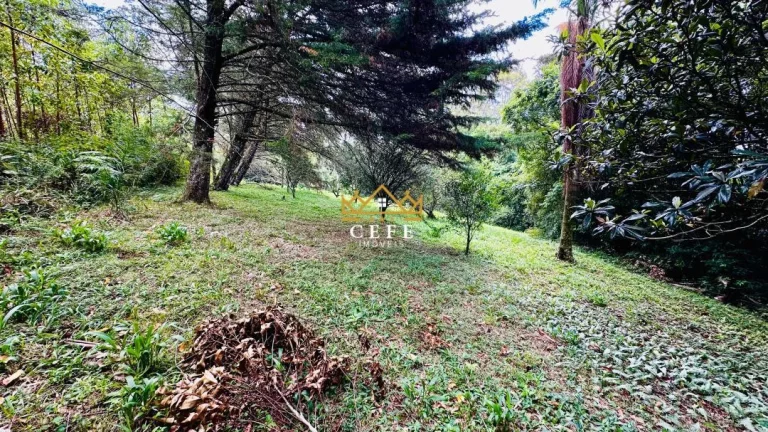 Imagem Chácara - Sítio com 2 Dormitorio(s) localizado(a) no bairro Padre Eterno Ilges em Santa Maria do Herval / RIO GRANDE DO SUL Ref.:1611