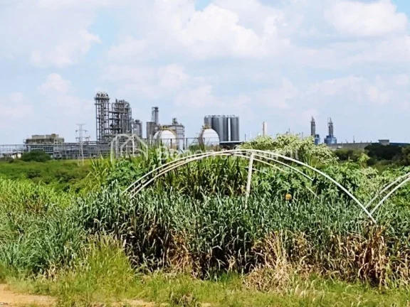 Imagem Venda, área industrial, bairro Bonfim, em Paulínia!
Zoneamento ZD 1 (zona de desenvolvimento indus...