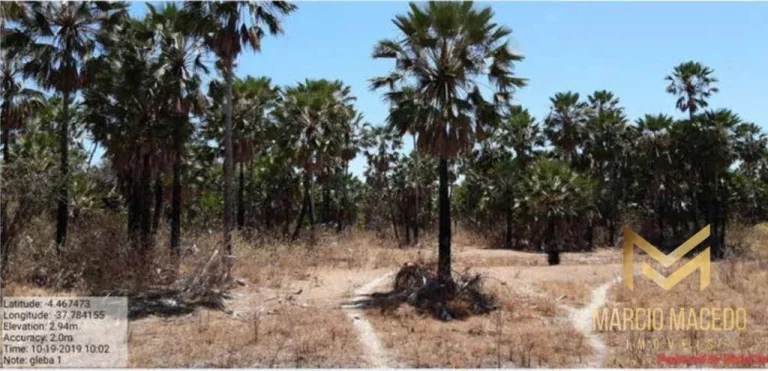 Imagem Terreno à venda, 9530000 m² por R$ 35.000.000,00 - Zona Rural - Aracati/CE