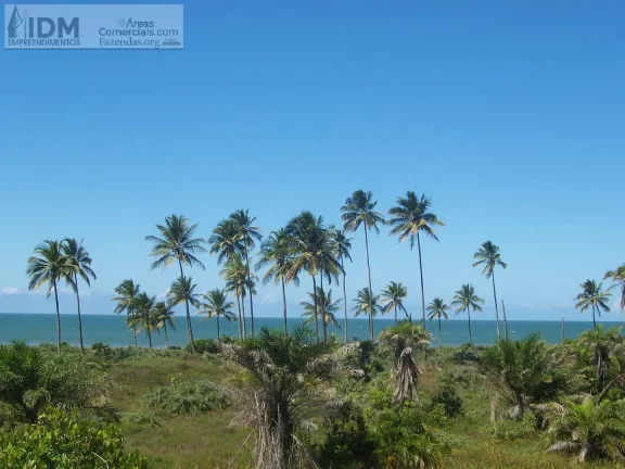 Imagem 400.000 m² com 500 m de frente ao Mar em Ilhéus - BA