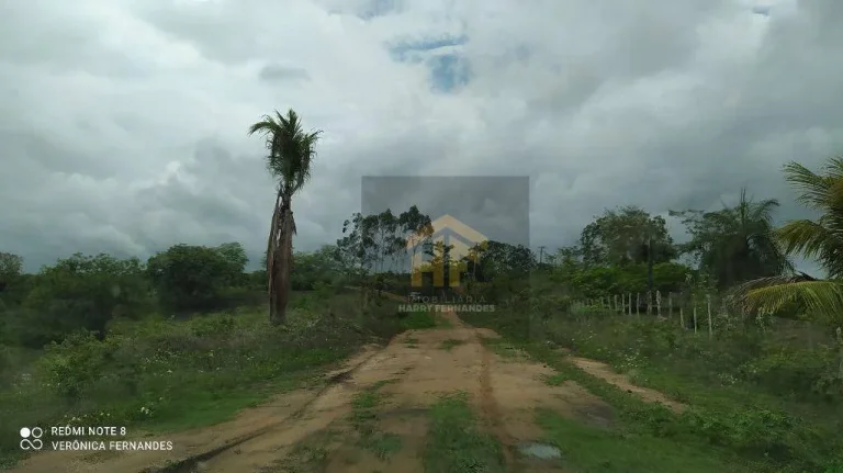 Imagem Fazenda com terreno de 14.888 hectares à venda em Paudalho, Pernambuco