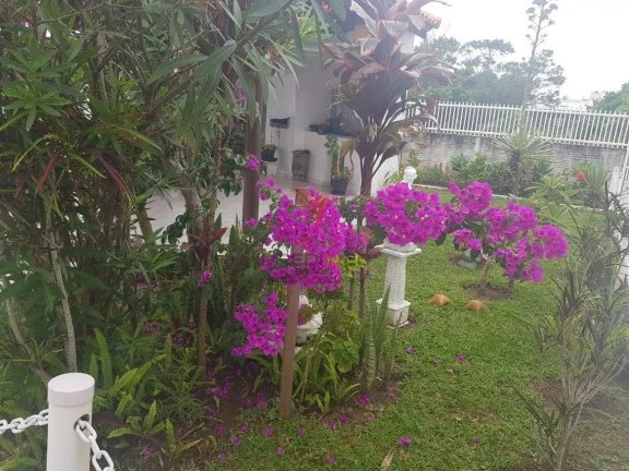 Imagem Lindo, muito lindo, situado a duas quadras da praia, 5 imóveis, com academia, piscina