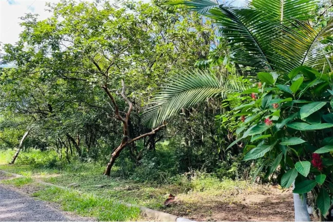 Imagem CMCF 2 Lote 612651033-85 - Terreno à venda no bairro Centro - Nova Santa Rita/RS