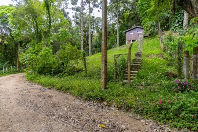 Imagem Terreno 745m2 rua sem saída Santa Felicidade